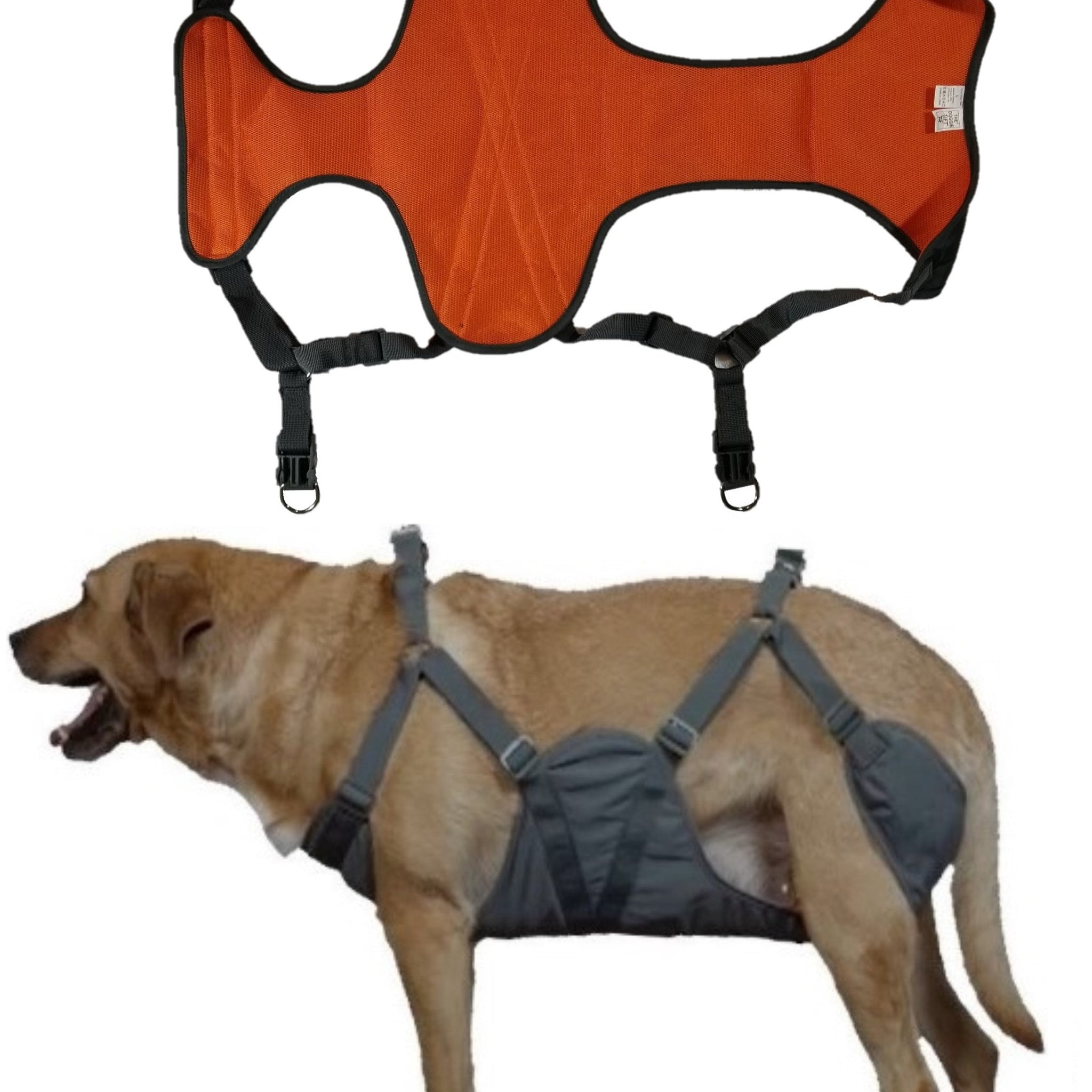 Large Harness (41-70lbs / 18.5-31.5kgs)