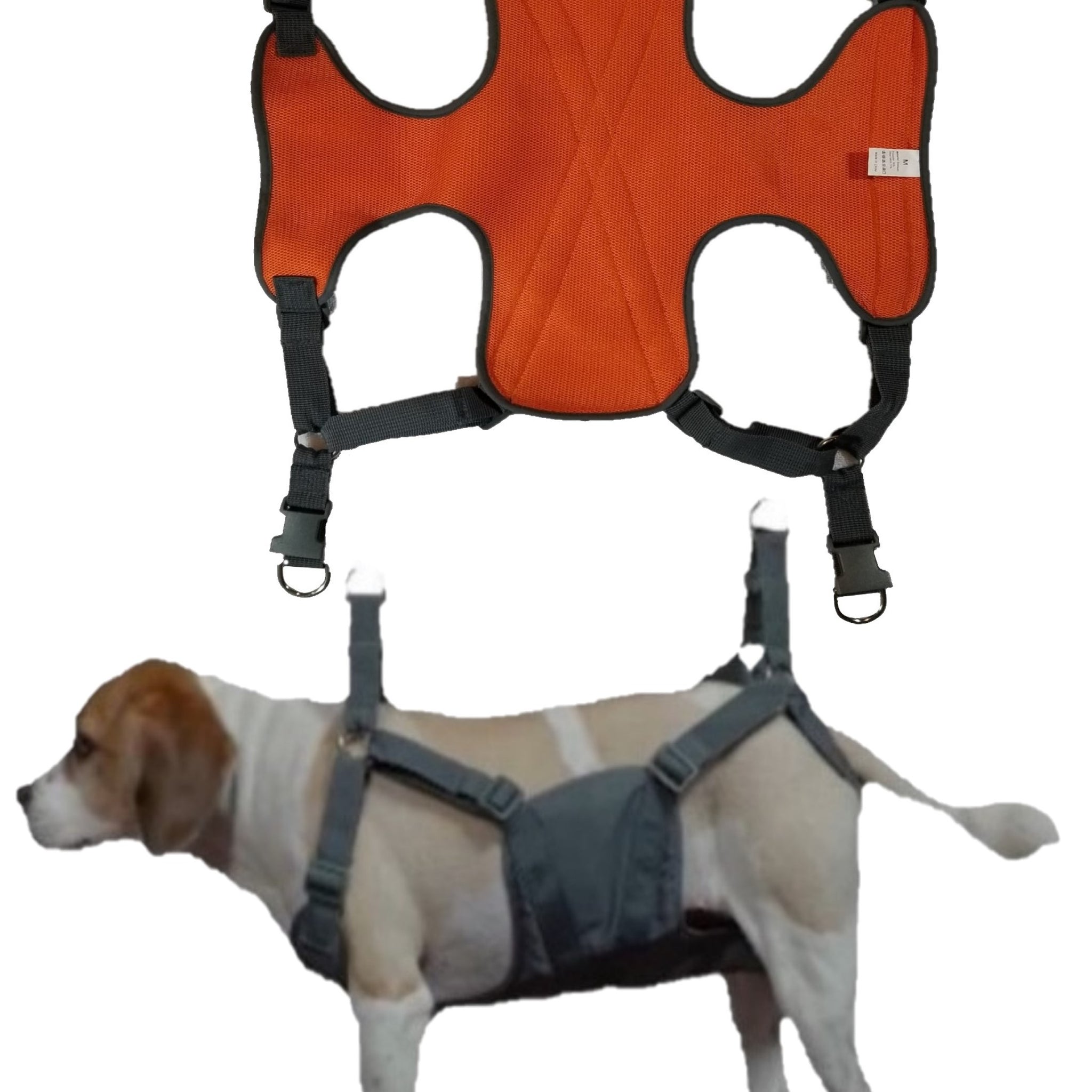 Medium Harness (15-40lbs / 7-18kgs)
